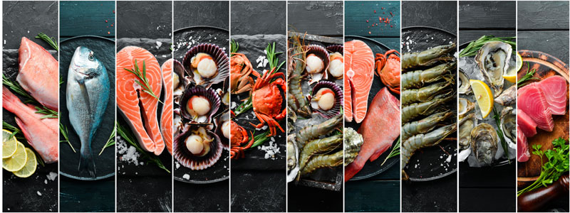 Zusätzliche Informationen zu Fisch und Meeresfrüchten Bildleiste von Fisch und Meeresfrüchten
