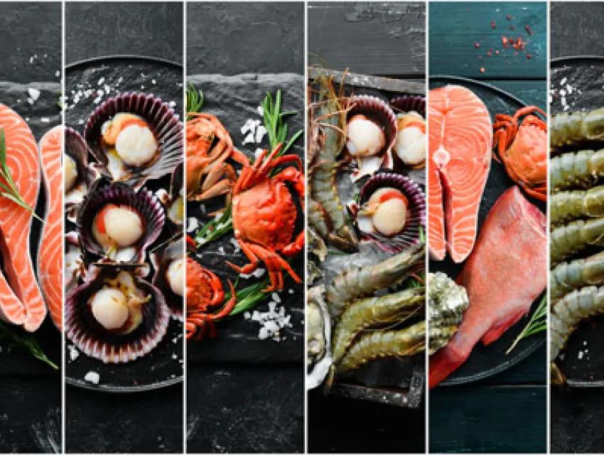 Bildleiste von Fisch und Meeresfrüchten