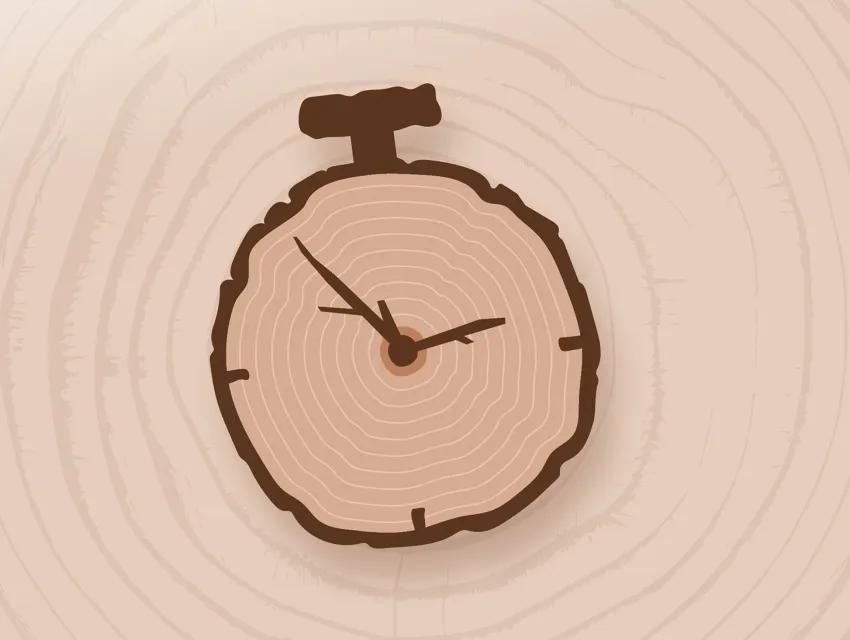 Baumscheibe in Form einer Stoppuhr mit Urzeigern