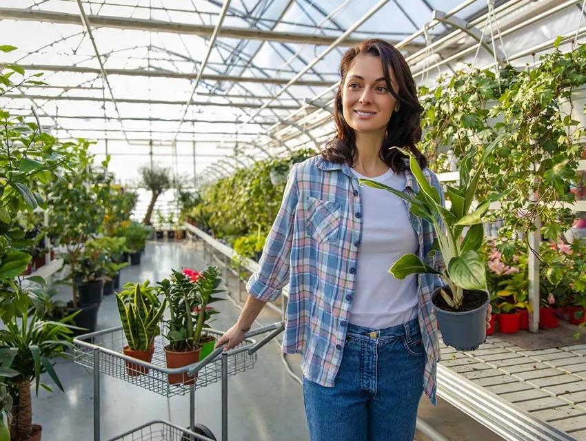 Kundin in Blumenladen kauft Grünpflanzen