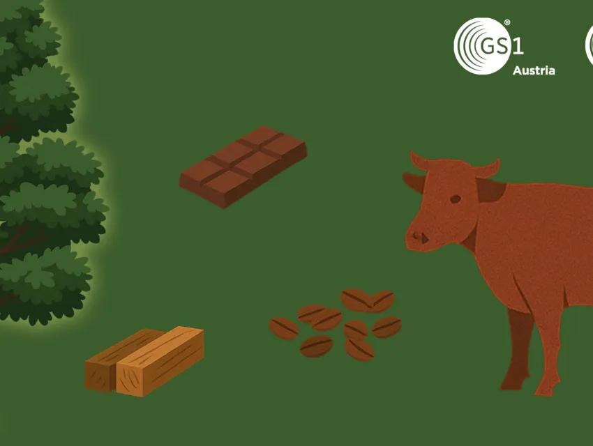 Illustrationen der EUDR-Guideline des ECR Austria