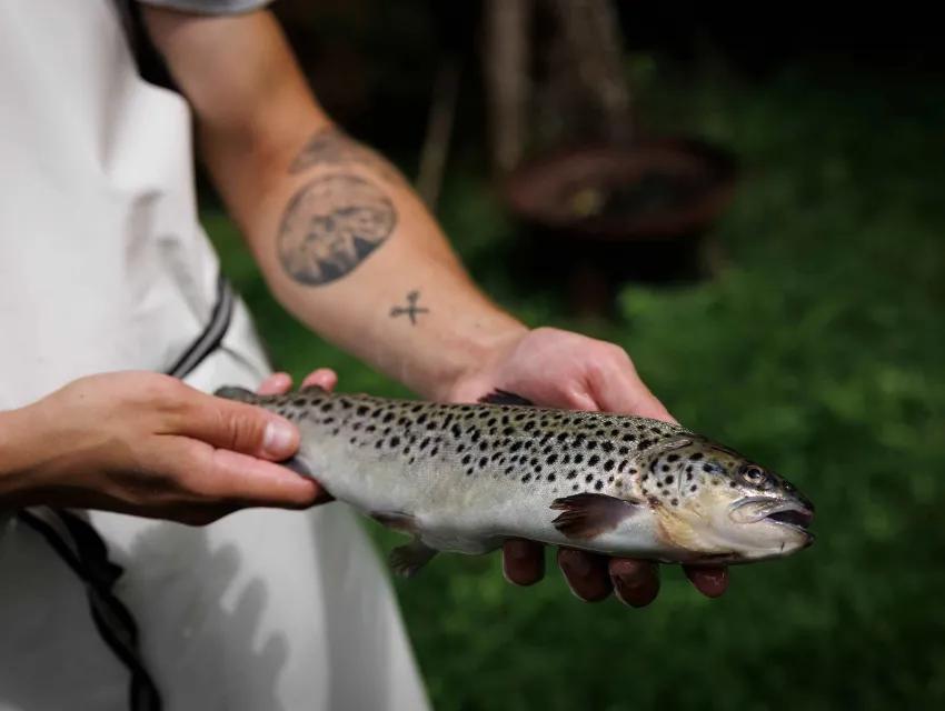 Frischer Fisch von Oberwasser