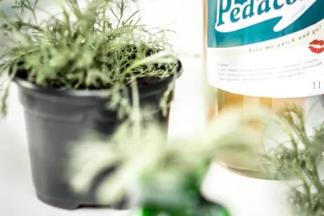 Die GTIN ermöglicht neue Vertriebswege für Pedacola Pedacola Flasche und Cola-Kraut im Blumentopf