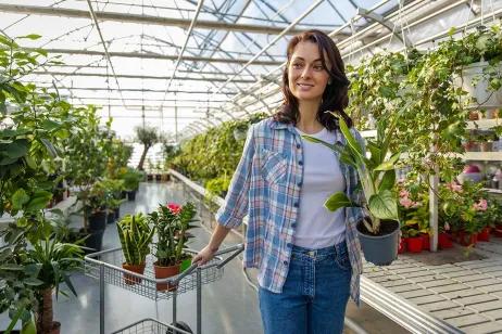L-MW-AG Mehrweg-Pflanzentray Kundin in Blumenladen kauft Grünpflanzen