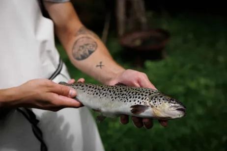 Frischer Fisch von Oberwasser