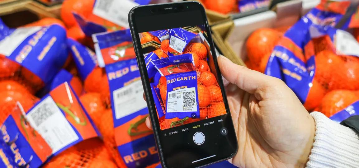 Foto zeigt 2D-Code auf Orangenverpackung, der von einem Smartphone gescannt wird