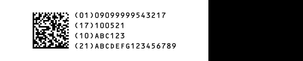 GS1 DataMatrix 2D Code