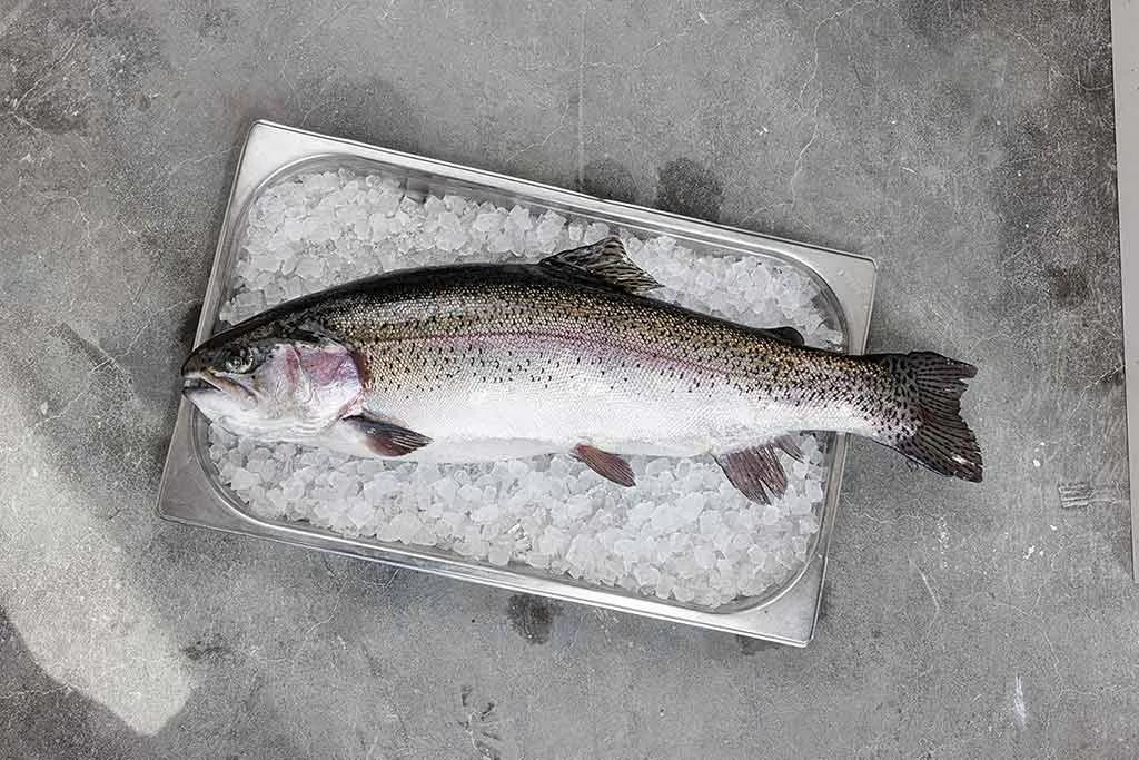 Frischer Fisch von Oberwasser