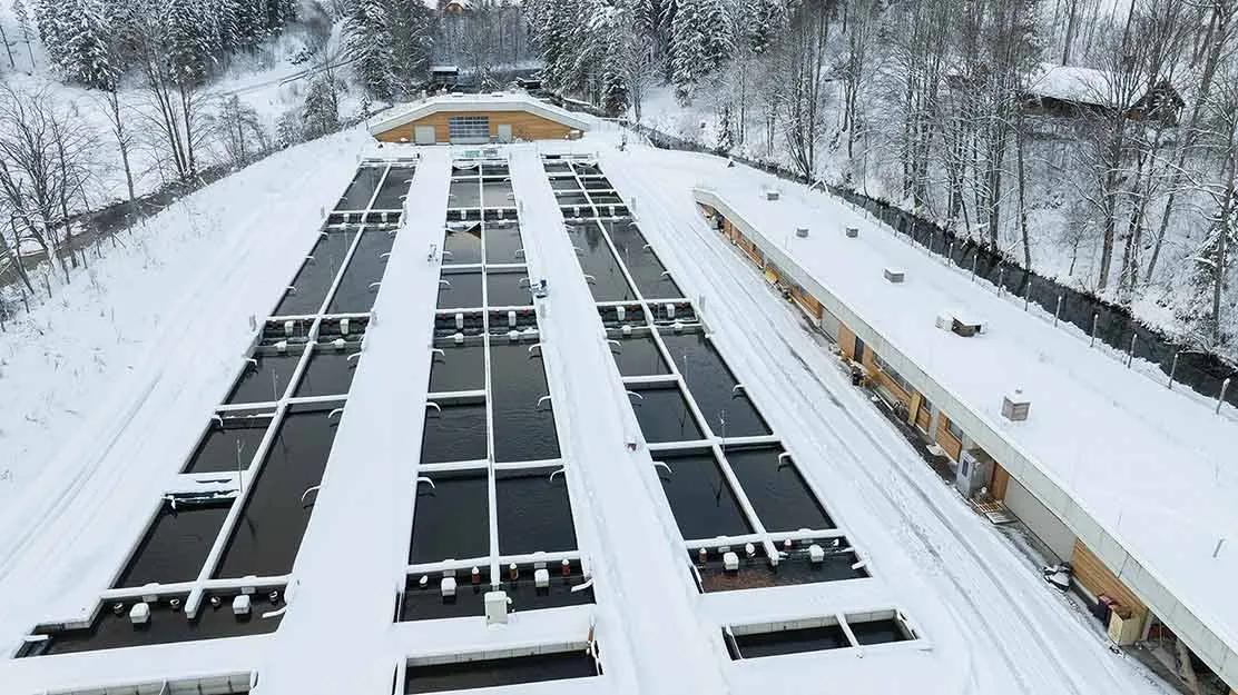 Fischzucht-Teiche in Schwarzau (Niederösterreich)