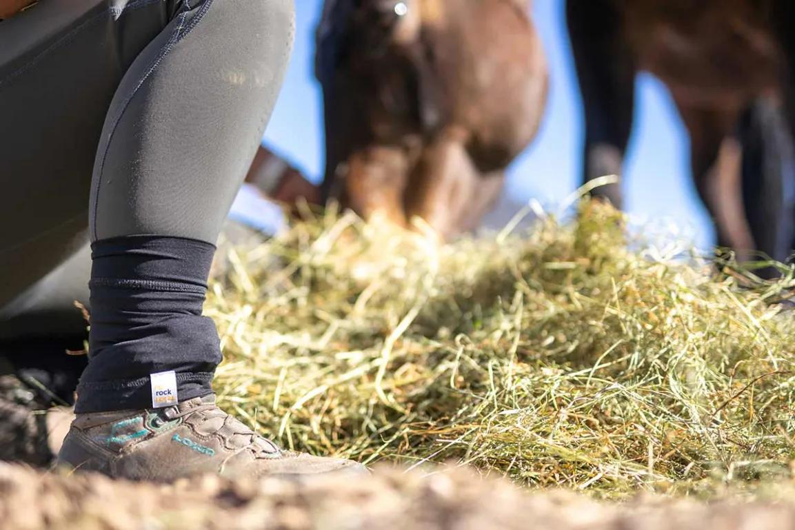 Reiten mit NoRockSocks