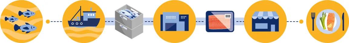 Illustration der Lieferkette eines Lachsfilets vom Fang bis auf den Teller