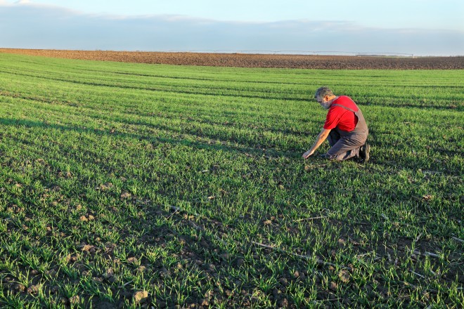 Konsumgüter Rückverfolgbarkeit Ein Bauer arbeitet in seinem Feld