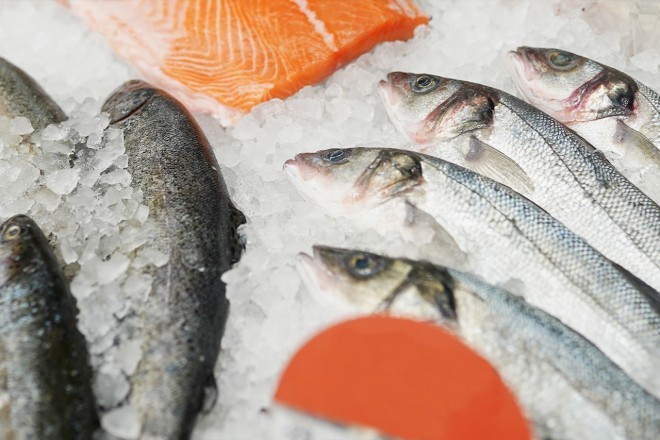 GS1 Trace im Einsatz für Fisch Rückverfolgbarkeit von Fisch