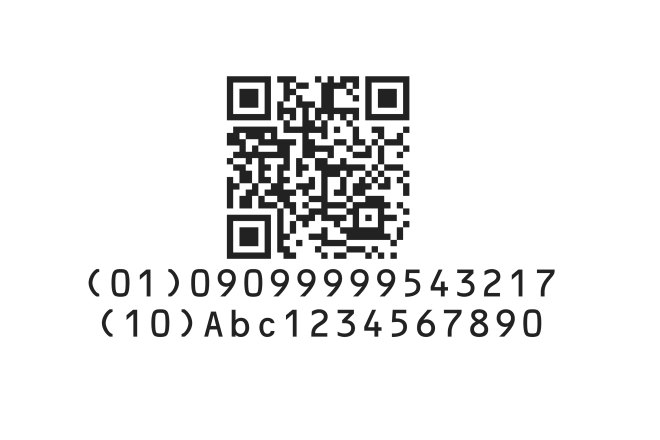 Abbildung eines GS1 QR Code