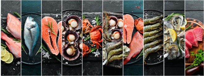 Zusätzliche Informationen zu Fisch und Meeresfrüchten Bildleiste von Fisch und Meeresfrüchten
