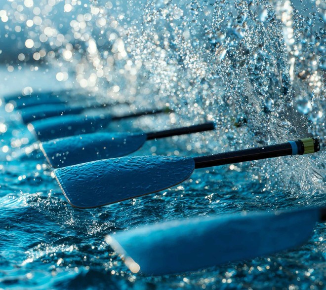 Mehrere Ruderblätter im Wasser