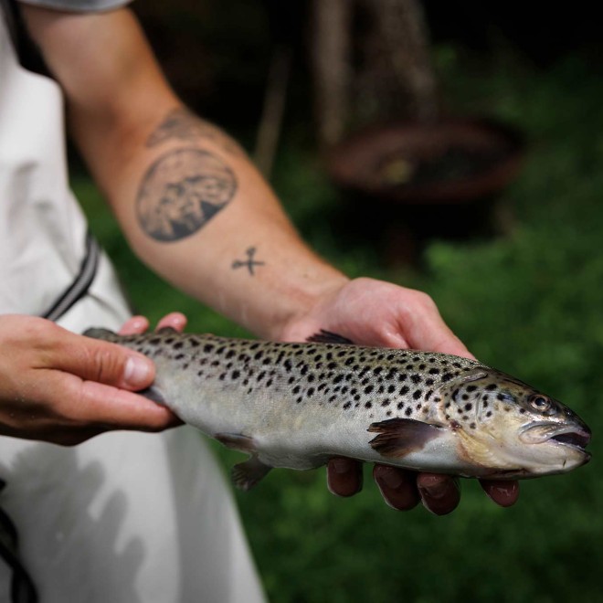 Frischer Fisch von Oberwasser