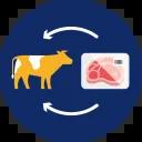 Icon zeigt eine Kuh und abgepacktes Fleisch